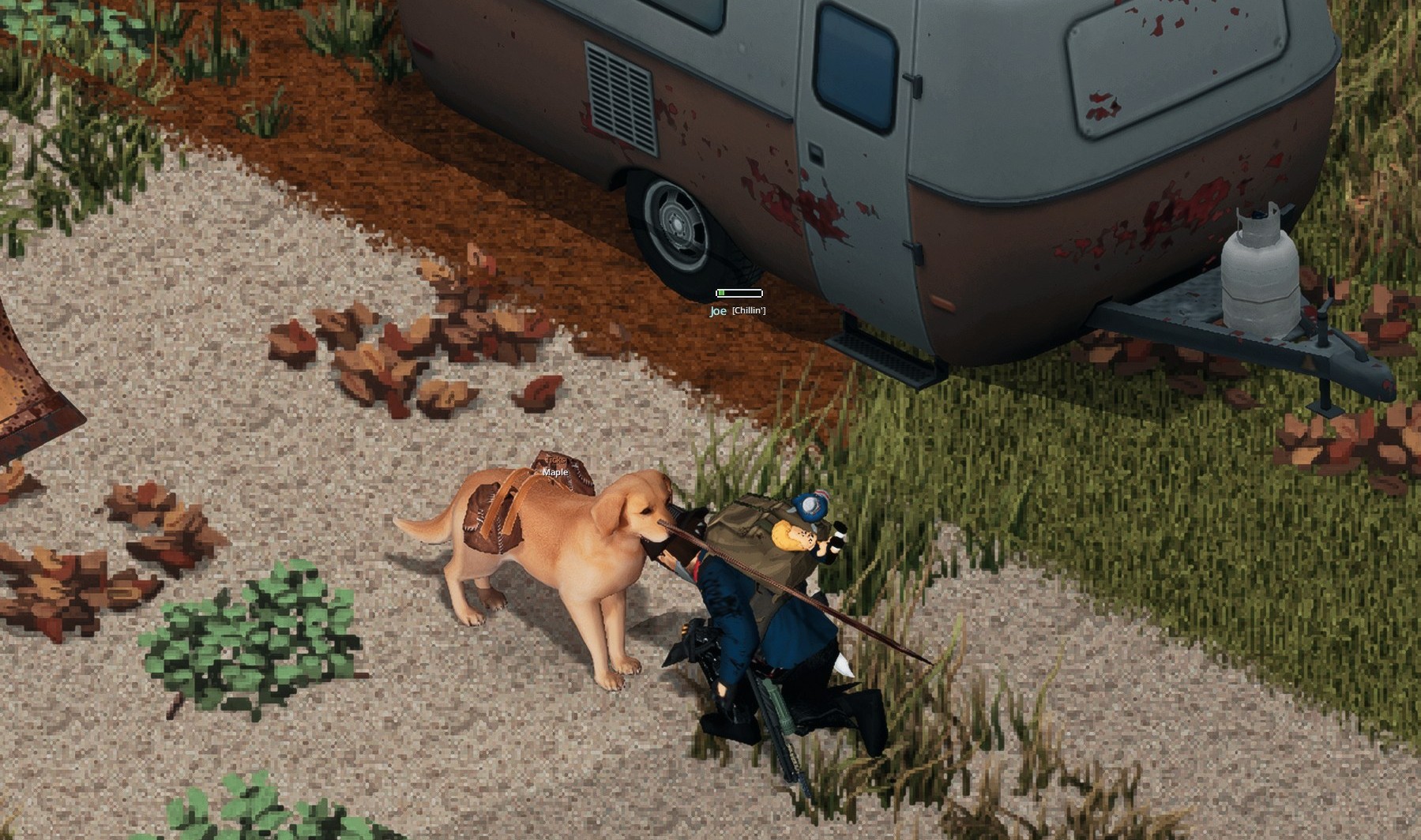 Maple is my best friend. I can't lose her.